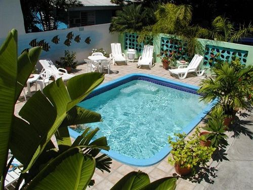 Turquoise Shell Inn Сен-Мартен Экстерьер фото